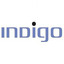 indigo