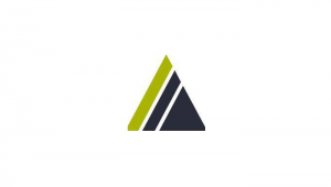chartered institute of internal auditors