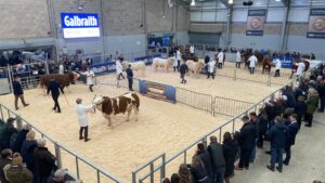 Cows in a ring